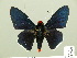  ( - HESP-EB 01 269)  @11 [ ] Copyright (2010) Unspecified Research Collection of Ernst Brockmann