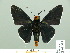  ( - HESP-EB 01 312)  @11 [ ] Copyright (2010) Unspecified Research Collection of Ernst Brockmann