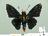  ( - HESP-EB 01 312)  @11 [ ] Copyright (2010) Unspecified Research Collection of Ernst Brockmann