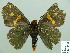  ( - HESP-EB 14 019)  @14 [ ] Copyright (2010) Unspecified Research Collection of Ernst Brockmann