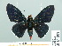  ( - HESP-EB 14 053)  @13 [ ] Copyright (2010) Unspecified Research Collection of Ernst Brockmann