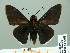 ( - HESP-EB 14 095)  @14 [ ] Copyright (2010) Unspecified Research Collection of Ernst Brockmann