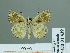  ( - HESP-EB 01 439)  @13 [ ] Copyright (2010) Unspecified Research Collection of Ernst Brockmann