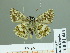  ( - HESP-EB 01 443)  @12 [ ] Copyright (2010) Unspecified Research Collection of Ernst Brockmann