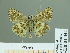  ( - HESP-EB 01 444)  @12 [ ] Copyright (2010) Unspecified Research Collection of Ernst Brockmann