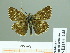  ( - HESP-EB 01 444)  @12 [ ] Copyright (2010) Unspecified Research Collection of Ernst Brockmann