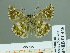  ( - HESP-EB 01 446)  @12 [ ] Copyright (2010) Unspecified Research Collection of Ernst Brockmann