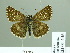  ( - HESP-EB 01 446)  @12 [ ] Copyright (2010) Unspecified Research Collection of Ernst Brockmann