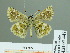  ( - HESP-EB 01 447)  @12 [ ] Copyright (2010) Unspecified Research Collection of Ernst Brockmann