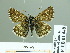  ( - HESP-EB 01 448)  @12 [ ] Copyright (2010) Unspecified Research Collection of Ernst Brockmann