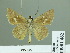  ( - HESP-EB 01 462)  @14 [ ] Copyright (2010) Unspecified Research Collection of Ernst Brockmann
