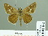  ( - HESP-EB 01 462)  @14 [ ] Copyright (2010) Unspecified Research Collection of Ernst Brockmann