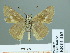  ( - HESP-EB 01 463)  @13 [ ] Copyright (2010) Unspecified Research Collection of Ernst Brockmann