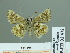  ( - HESP-EB 01 472)  @12 [ ] Copyright (2010) Unspecified Research Collection of Ernst Brockmann