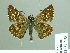  ( - HESP-EB 01 473)  @14 [ ] Copyright (2010) Unspecified Research Collection of Ernst Brockmann