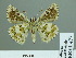  ( - HESP-EB 01 477)  @13 [ ] Copyright (2010) Unspecified Research Collection of Ernst Brockmann