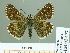  ( - HESP-EB 01 477)  @13 [ ] Copyright (2010) Unspecified Research Collection of Ernst Brockmann