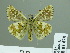  ( - HESP-EB 01 478)  @13 [ ] Copyright (2010) Unspecified Research Collection of Ernst Brockmann