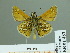  ( - HESP-EB 01 483)  @12 [ ] Copyright (2010) Unspecified Research Collection of Ernst Brockmann