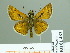 ( - HESP-EB 01 483)  @12 [ ] Copyright (2010) Unspecified Research Collection of Ernst Brockmann