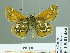  ( - HESP-EB 01 484)  @12 [ ] Copyright (2010) Unspecified Research Collection of Ernst Brockmann