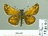  ( - HESP-EB 01 484)  @12 [ ] Copyright (2010) Unspecified Research Collection of Ernst Brockmann