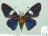  (Gunayan - HESP-EB 01 530)  @15 [ ] Copyright (2010) Unspecified Research Collection of Ernst Brockmann