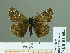  ( - HESP-EB 01604)  @12 [ ] Copyright (2010) Ernst Brockmann Research Collection of Ernst Brockmann