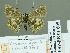  ( - HESP-EB 01605)  @12 [ ] Copyright (2010) Ernst Brockmann Research Collection of Ernst Brockmann