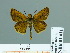  ( - HESP-EB 01611)  @13 [ ] Copyright (2010) Ernst Brockmann Research Collection of Ernst Brockmann