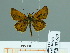  ( - HESP-EB 01612)  @13 [ ] Copyright (2010) Ernst Brockmann Research Collection of Ernst Brockmann
