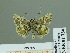 ( - HESP-EB 01736)  @11 [ ] Copyright (2010) Ernst Brockmann Research Collection of Ernst Brockmann