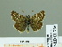  ( - HESP-EB 01736)  @11 [ ] Copyright (2010) Ernst Brockmann Research Collection of Ernst Brockmann