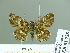  ( - HESP-EB 01738)  @13 [ ] Copyright (2010) Ernst Brockmann Research Collection of Ernst Brockmann