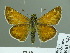  ( - HESP-EB 01741)  @13 [ ] Copyright (2010) Ernst Brockmann Research Collection of Ernst Brockmann