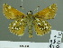  ( - HESP-EB 01742)  @12 [ ] Copyright (2010) Ernst Brockmann Research Collection of Ernst Brockmann