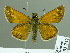  ( - HESP-EB 01742)  @12 [ ] Copyright (2010) Ernst Brockmann Research Collection of Ernst Brockmann