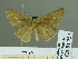  ( - HESP-EB 01754)  @12 [ ] Copyright (2010) Ernst Brockmann Research Collection of Ernst Brockmann