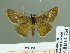  ( - HESP-EB 01754)  @13 [ ] Copyright (2010) Ernst Brockmann Research Collection of Ernst Brockmann