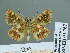  ( - HESP-EB 01767)  @11 [ ] Copyright (2010) Ernst Brockmann Research Collection of Ernst Brockmann