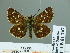  ( - HESP-EB 01767)  @11 [ ] Copyright (2010) Ernst Brockmann Research Collection of Ernst Brockmann