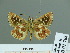  ( - HESP-EB 01768)  @12 [ ] Copyright (2010) Ernst Brockmann Research Collection of Ernst Brockmann