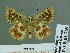  ( - HESP-EB 01769)  @11 [ ] Copyright (2010) Ernst Brockmann Research Collection of Ernst Brockmann