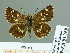  ( - HESP-EB 01769)  @11 [ ] Copyright (2010) Ernst Brockmann Research Collection of Ernst Brockmann
