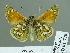  ( - HESP-EB 01770)  @12 [ ] Copyright (2010) Ernst Brockmann Research Collection of Ernst Brockmann