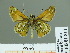  ( - HESP-EB 01811)  @12 [ ] Copyright (2010) Ernst Brockmann Research Collection of Ernst Brockmann