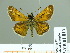  ( - HESP-EB 01811)  @12 [ ] Copyright (2010) Ernst Brockmann Research Collection of Ernst Brockmann