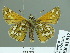  ( - HESP-EB 01812)  @12 [ ] Copyright (2010) Ernst Brockmann Research Collection of Ernst Brockmann