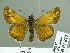  ( - HESP-EB 01812)  @12 [ ] Copyright (2010) Ernst Brockmann Research Collection of Ernst Brockmann
