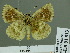  ( - HESP-EB 01813)  @11 [ ] Copyright (2010) Ernst Brockmann Research Collection of Ernst Brockmann